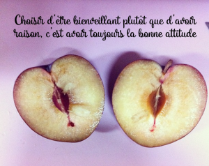 avoir_raison