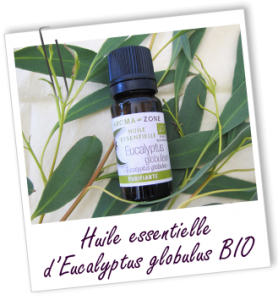 FT_trombone_HE_MS_eucalyptus-globulus-bio_0