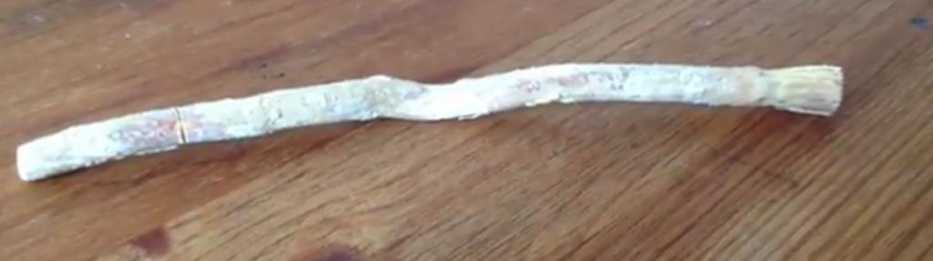 siwak_brosse_à_dents_naturelles_zéro_déchet