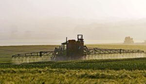 agriculture