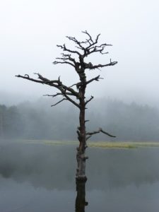 fin_du_monde_lac